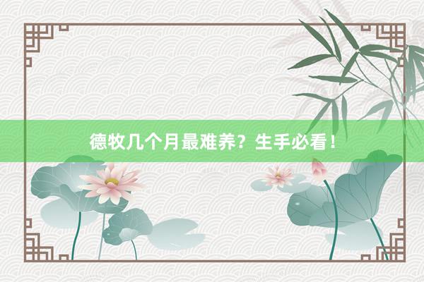 德牧几个月最难养？生手必看！