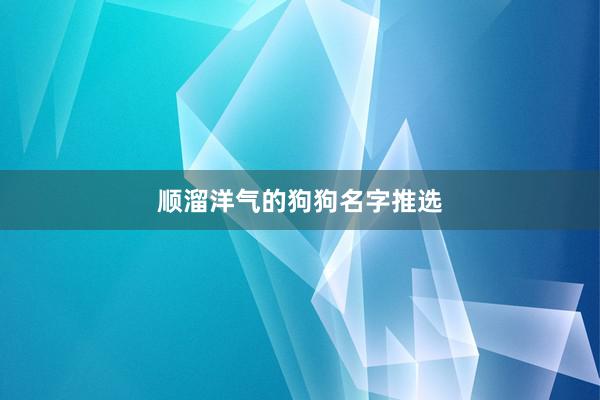 顺溜洋气的狗狗名字推选